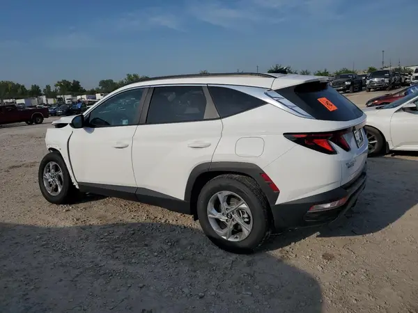 5NMJB3DE1RH377326 2024 HYUNDAI TUCSON - Image 2