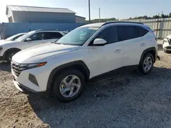 5NMJB3DE1RH387838 2024 HYUNDAI TUCSON