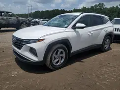 5NMJB3DE1RH403312 2024 HYUNDAI TUCSON