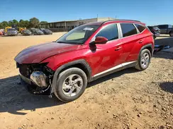 5NMJB3DE1RH407070 2024 HYUNDAI TUCSON