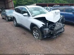 5NMJB3DE1RH422832 2024 HYUNDAI TUCSON