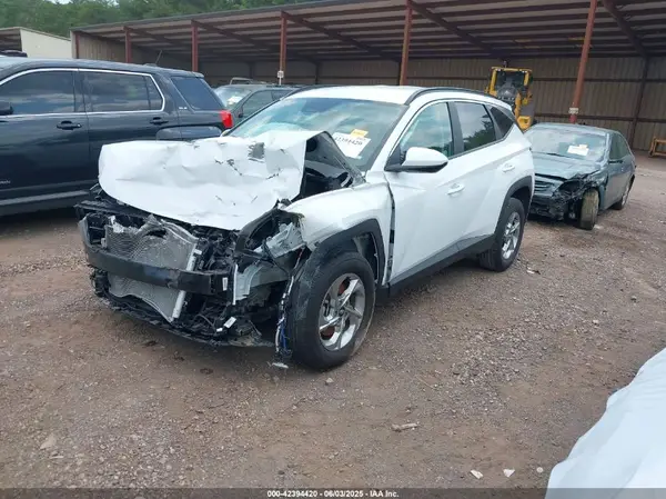 5NMJB3DE1RH422832 2024 HYUNDAI TUCSON - Image 2