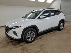 5NMJB3DE1RH427643 2024 HYUNDAI TUCSON