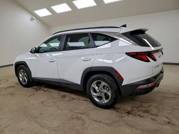 5NMJB3DE1RH427643 2024 HYUNDAI TUCSON - Image 2