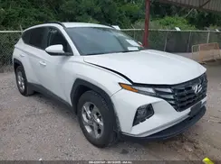 5NMJB3DE1RH428288 2024 HYUNDAI TUCSON