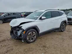 5NMJB3DE1SH463984 2025 HYUNDAI TUCSON