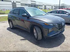 5NMJB3DE2RH300917 2024 HYUNDAI TUCSON