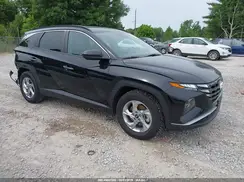 5NMJB3DE2RH329575 2024 HYUNDAI TUCSON