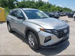 5NMJB3DE2RH346344 2024 HYUNDAI TUCSON