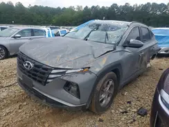 5NMJB3DE2RH361085 2024 HYUNDAI TUCSON