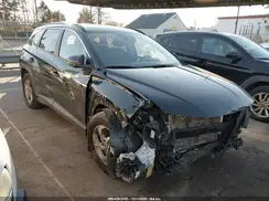 5NMJB3DE2RH371308 2024 HYUNDAI TUCSON