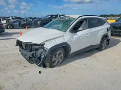 5NMJB3DE2RH384155 2024 HYUNDAI TUCSON