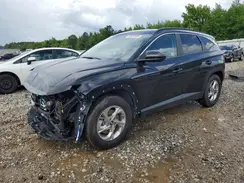 5NMJB3DE2RH384317 2024 HYUNDAI TUCSON