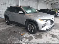 5NMJB3DE2RH427831 2024 HYUNDAI TUCSON