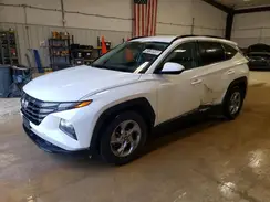 5NMJB3DE3RH299597 2024 HYUNDAI TUCSON