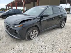5NMJB3DE3RH300831 2024 HYUNDAI TUCSON