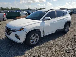 5NMJB3DE3RH302935 2024 HYUNDAI TUCSON
