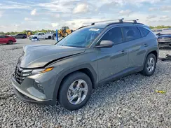 5NMJB3DE3RH313384 2024 HYUNDAI TUCSON