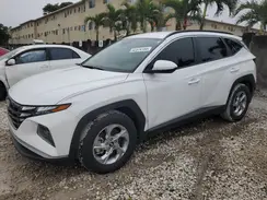 5NMJB3DE3RH333229 2024 HYUNDAI TUCSON