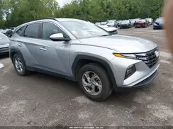 5NMJB3DE3RH338463 2024 HYUNDAI TUCSON