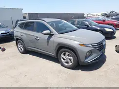 5NMJB3DE3RH339340 2024 HYUNDAI TUCSON