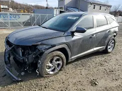 5NMJB3DE3RH340455 2024 HYUNDAI TUCSON