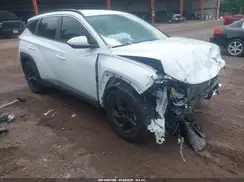 5NMJB3DE3RH341878 2024 HYUNDAI TUCSON