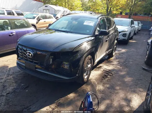 5NMJB3DE3RH343968 2024 HYUNDAI TUCSON - Image 2