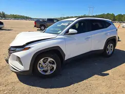 5NMJB3DE3RH344618 2024 HYUNDAI TUCSON