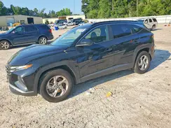 5NMJB3DE3RH347759 2024 HYUNDAI TUCSON