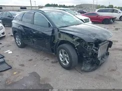 5NMJB3DE3RH385380 2024 HYUNDAI TUCSON