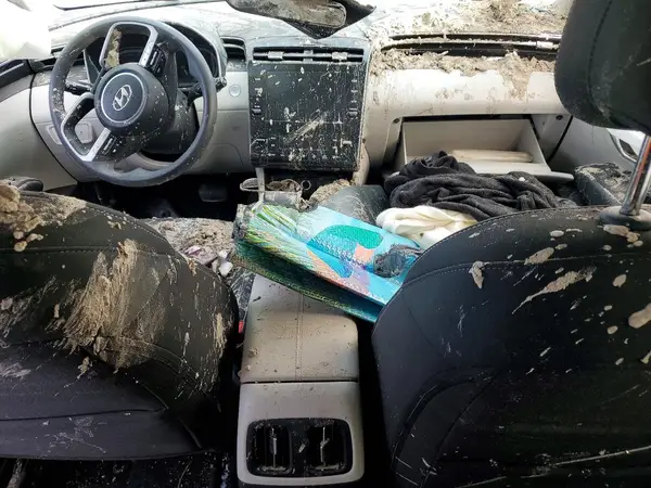 5NMJB3DE3RH385413 2024 HYUNDAI TUCSON - Image 8