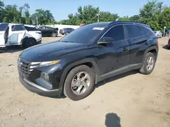 5NMJB3DE3RH387209 2024 HYUNDAI TUCSON