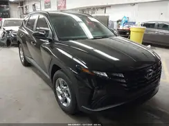 5NMJB3DE3RH391874 2024 HYUNDAI TUCSON