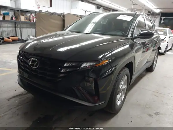 5NMJB3DE3RH391874 2024 HYUNDAI TUCSON - Image 2