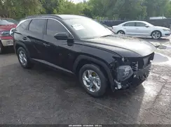 5NMJB3DE3RH406356 2024 HYUNDAI TUCSON
