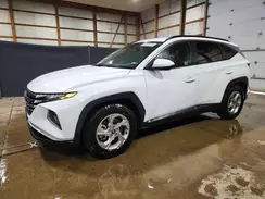 5NMJB3DE3RH421732 2024 HYUNDAI TUCSON