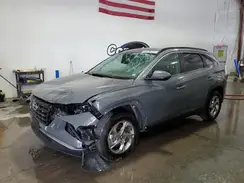 5NMJB3DE3RH427790 2024 HYUNDAI TUCSON