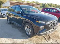 5NMJB3DE3RH427904 2024 HYUNDAI TUCSON