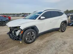 5NMJB3DE3SH594981 2025 HYUNDAI TUCSON