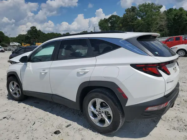 5NMJB3DE4RH301504 2024 HYUNDAI TUCSON - Image 2