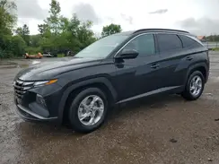 5NMJB3DE4RH317637 2024 HYUNDAI TUCSON