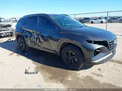 5NMJB3DE4RH320246 2024 HYUNDAI TUCSON