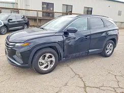 5NMJB3DE4RH329576 2024 HYUNDAI TUCSON