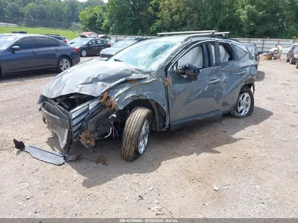 5NMJB3DE4RH343736 2024 HYUNDAI TUCSON - Image 2