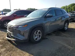 5NMJB3DE4RH361489 2024 HYUNDAI TUCSON