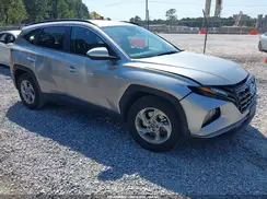 5NMJB3DE4RH404311 2024 HYUNDAI TUCSON
