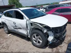 5NMJB3DE4RH413316 2024 HYUNDAI TUCSON