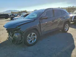 5NMJB3DE4RH421304 2024 HYUNDAI TUCSON
