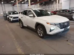 5NMJB3DE4RH427569 2024 HYUNDAI TUCSON